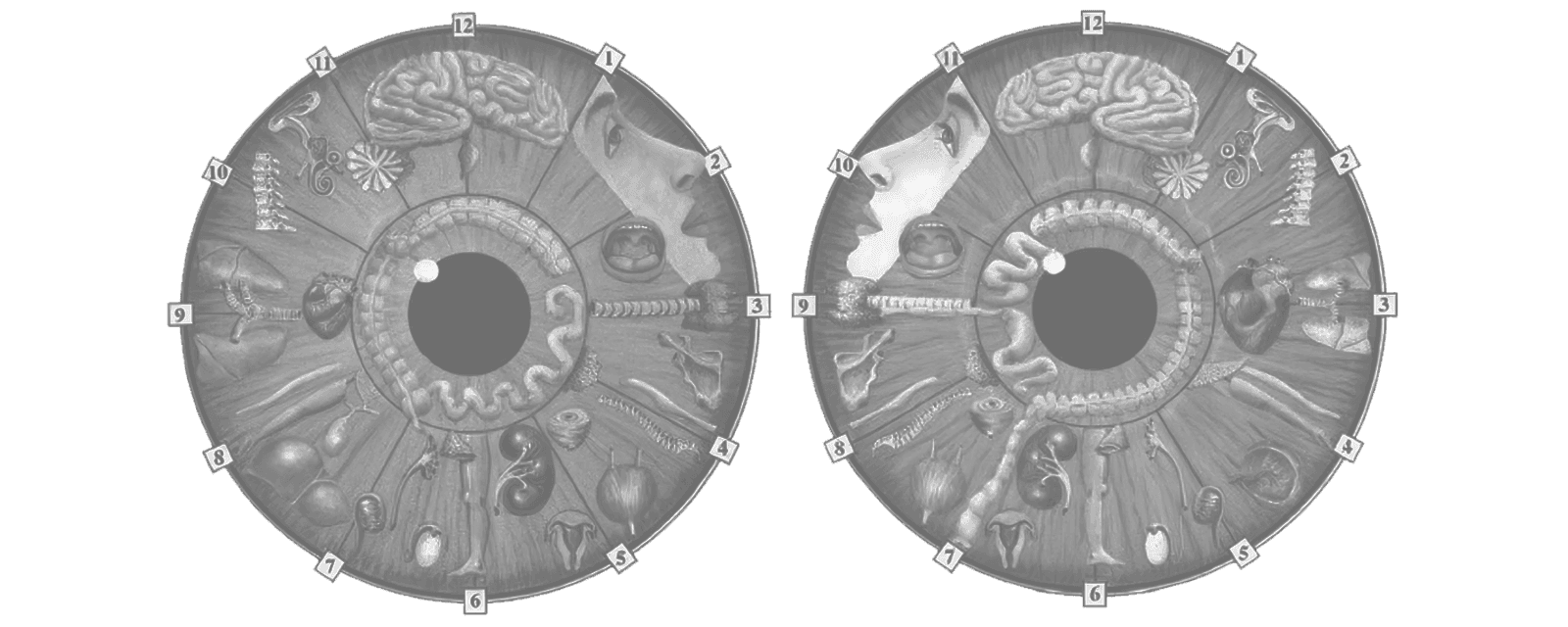 akių rainelės analizė
