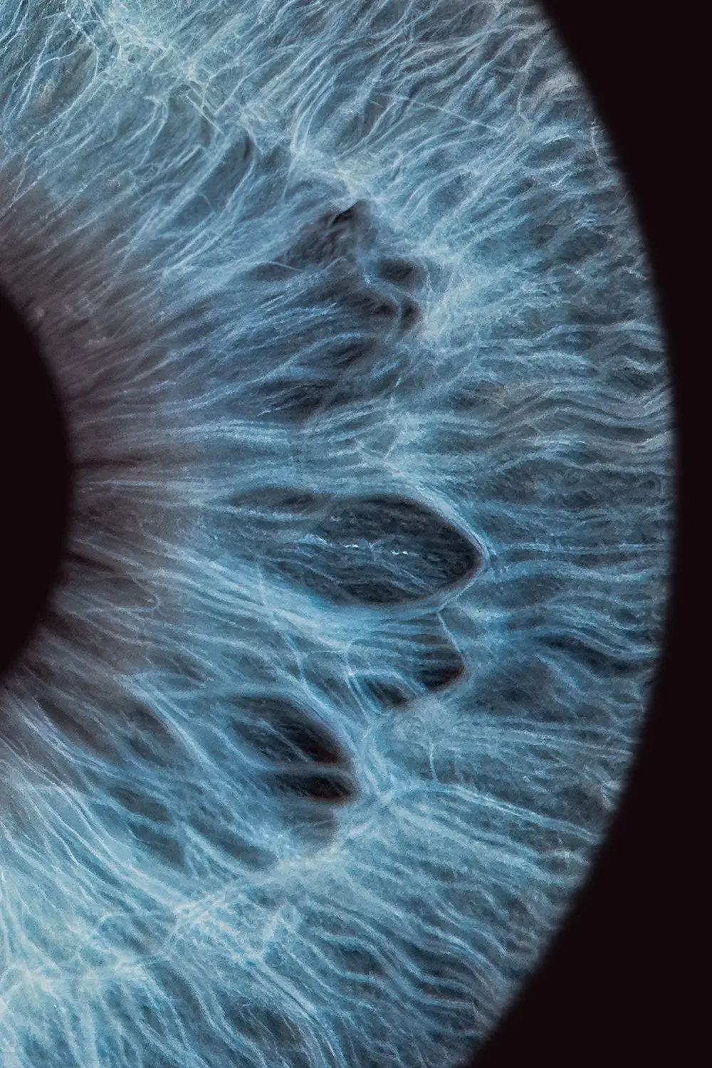 akių rainelės analizė