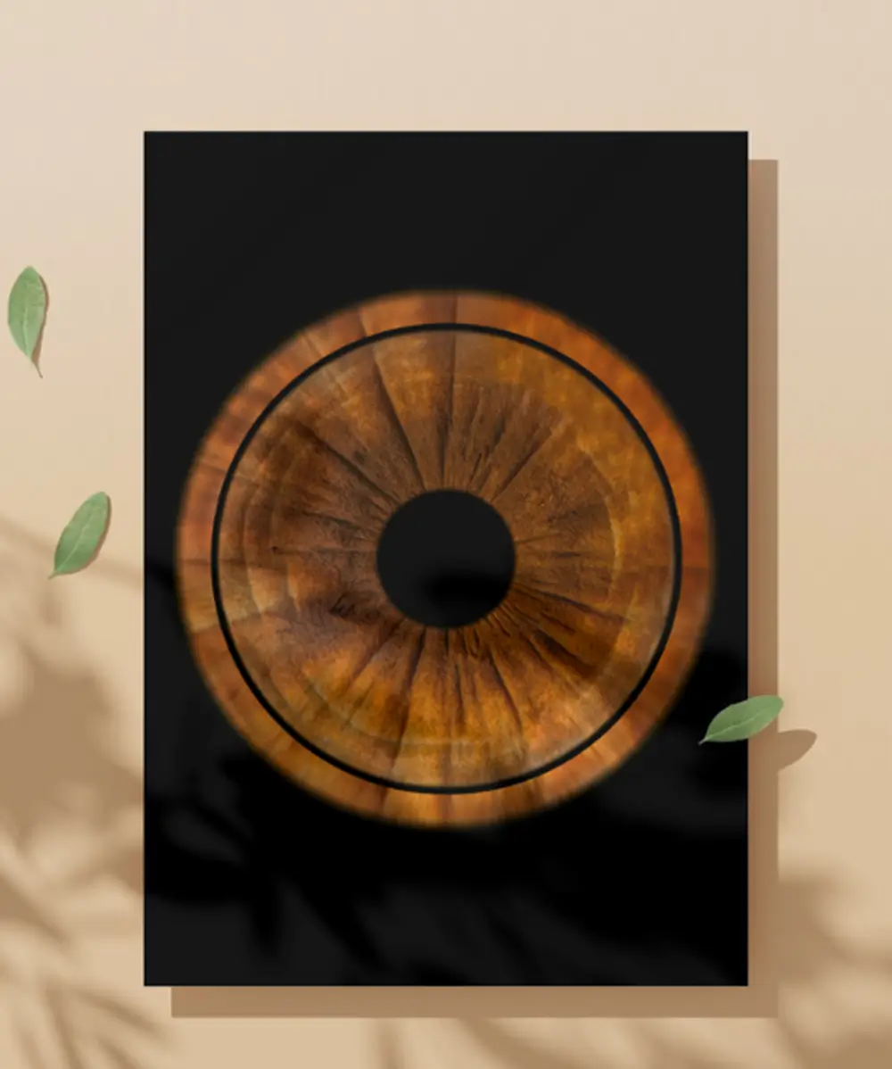 kaina, kainoraštis, akies foto, rainelės fotografija