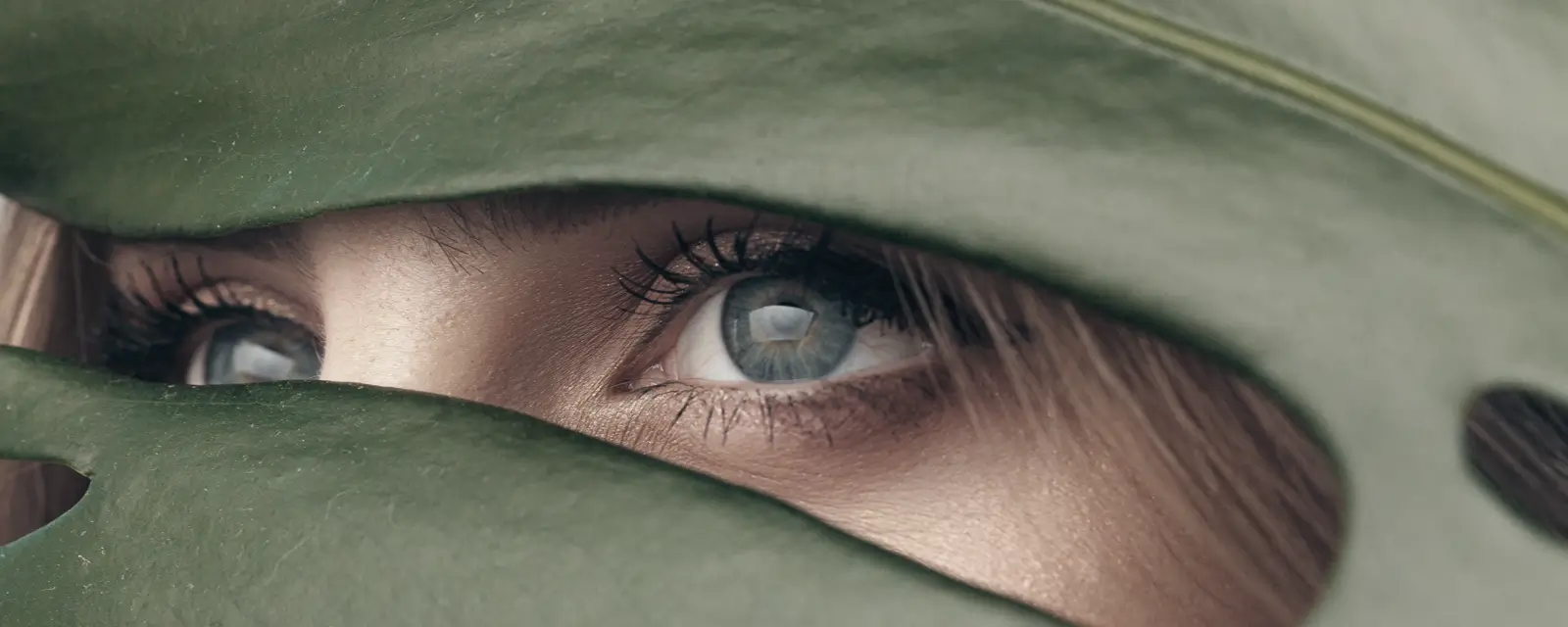 Akis, akies fotografija, akiesfoto.lt, Akių fotografija Šiauliuose