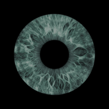 rainelės nuotrauka, akies foto, akių fotografija Šiauliai